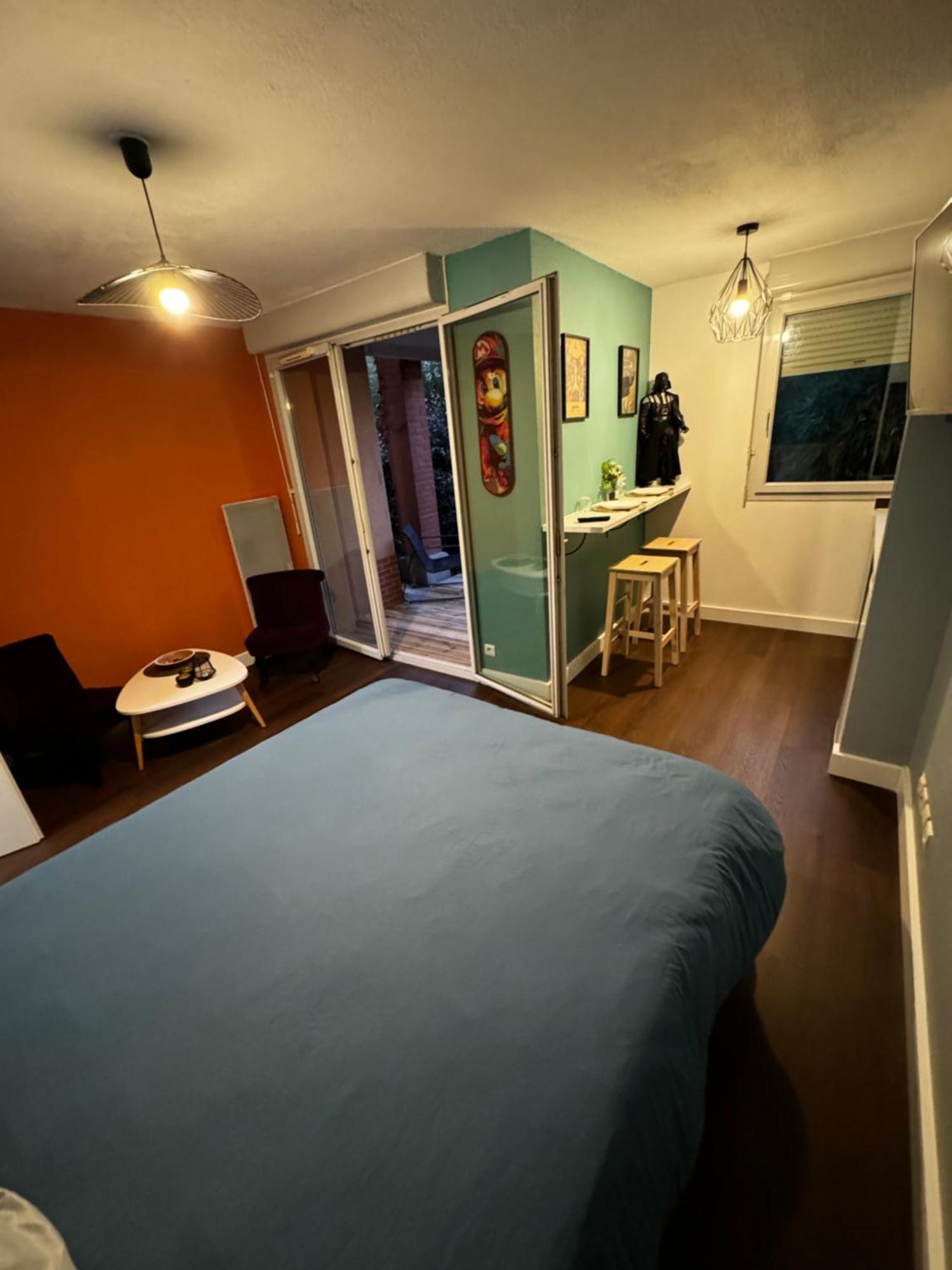 Le Loft Geek Apartment ตูลูส ภายนอก รูปภาพ
