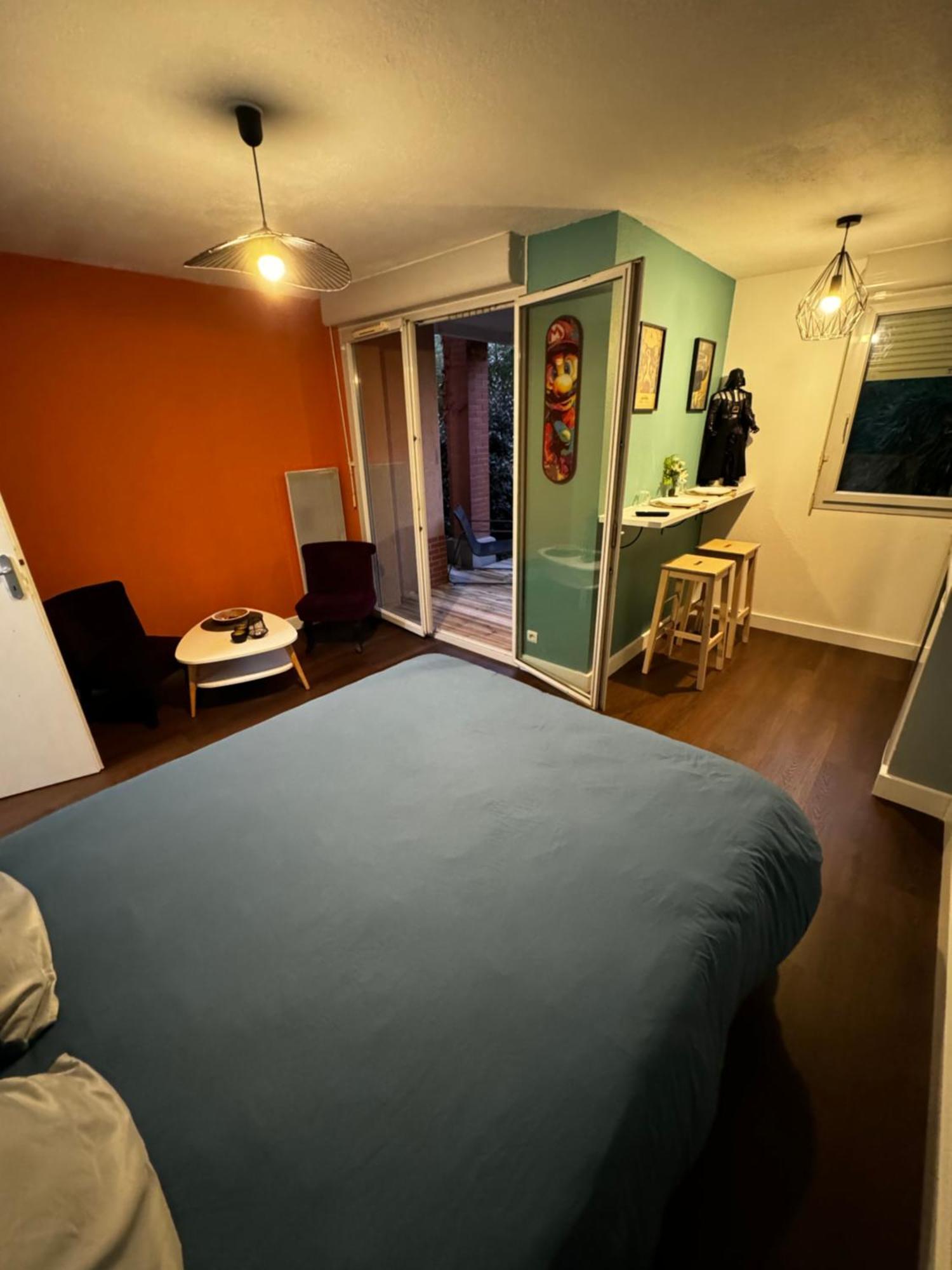 Le Loft Geek Apartment ตูลูส ภายนอก รูปภาพ